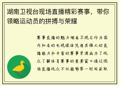 湖南卫视台现场直播精彩赛事，带你领略运动员的拼搏与荣耀